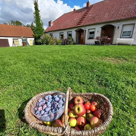 Familienhof Mueritz Appartement Klein Plasten Buitenkant foto