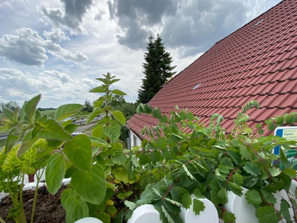 Familienhof Müritz * Klein Plasten