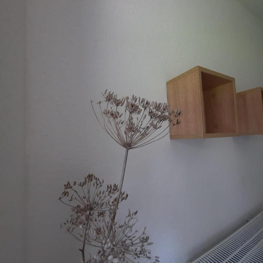 Familienhof Müritz Apartment
