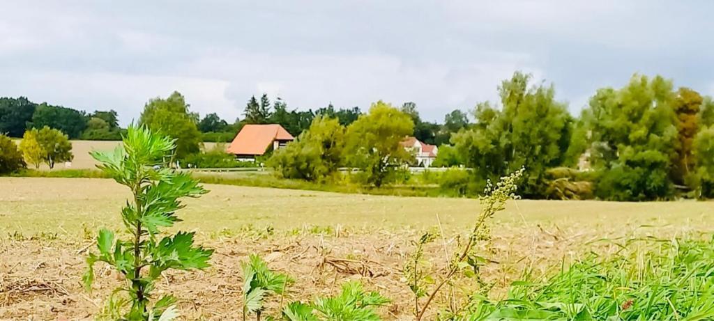Appartement Familienhof Mueritz Klein Plasten