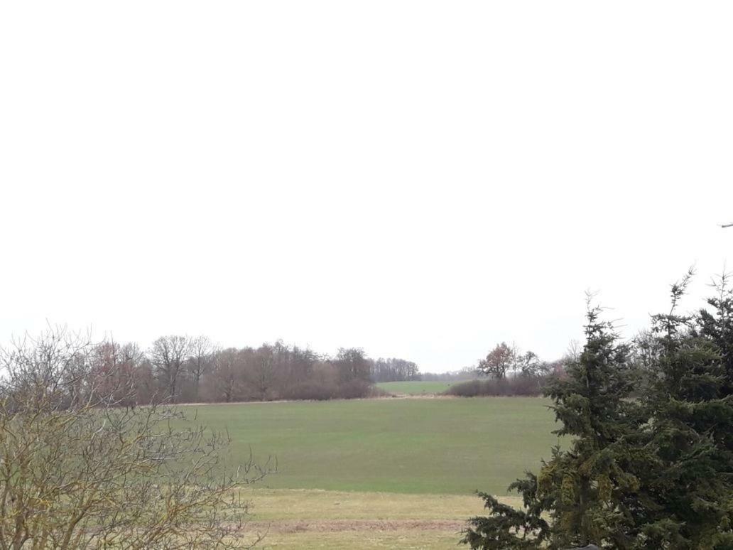 Appartement Familienhof Mueritz